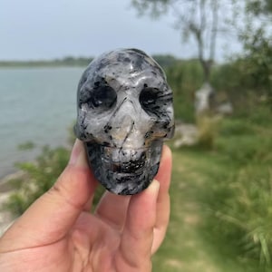 Black Tourmaline Skull Carving|Crystal Skull Statue|Crystal Skull Decor|Quartz Skull|Reiki Healing Crystal Skull Gift for Women and Men # B