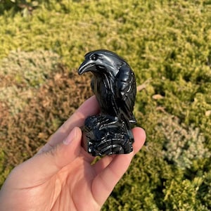 Black Obsidian Crow Carving|Healing Crystal Carving|Stone Carving|Crystal Animal Crow Sculpture|Handmade Crystal Gift for Women and Kids