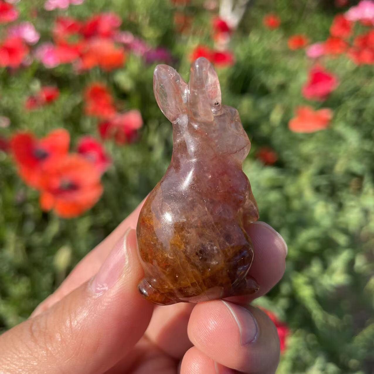 BLACK RABBiT Crystal Fire BLACK RABBiT Crystal Fire