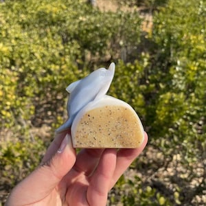 Lovely Druzy Agate Dolphin Carving|Crystal Healing Carving|Crystal Animal Dolphin Sculpture|Energy Stone Unique Gift for Women and Kids