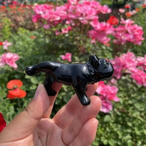 Black Obsidian Dog Carving|Quartz Animal Carving|Obsidian Animal French Bulldog Carving|Crystal healing | Crystal gift for Kids and Women