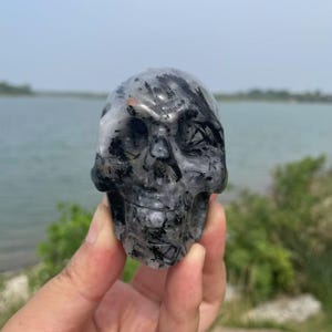 Black Tourmaline Skull Carving|Crystal Skull Statue|Crystal Skull Decor|Quartz Skull|Reiki Healing Crystal Skull Gift for Women and Men # C