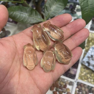 May include: Five translucent, light brown, carved cicada figurines. The cicadas are detailed with intricate wing patterns and have a smooth, polished finish.