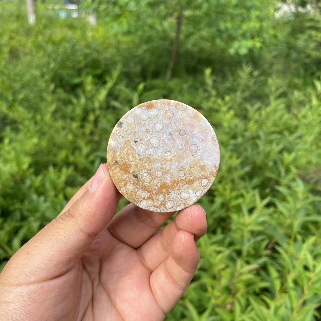 天然オーシャンジャスパーラウンドスラブ：ヒーリングクリスタル彫刻