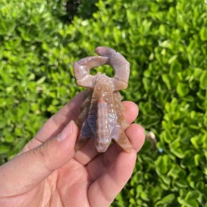 Cool Ocean Jasper Scorpion Carving|Healing Crystal|Crystal Scorpion Carvings|Energy Stone Scorpion Carving|Unique Gift for Him and Her#06