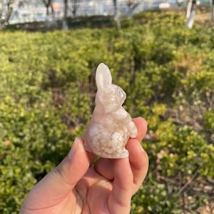 Cute Flower Agate Rabbit Carving|Healing Crystal Carving|Crystal Animal Bunny Sculpture|Energy Stone|Crystal Gift for Her and Kids #01