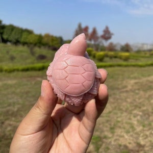 Op de afbeelding: Een roze gegraveerd schildpadbeeldje met een gedetailleerde schelp en kop. De schildpad is gemaakt van een glad, gepolijst materiaal.