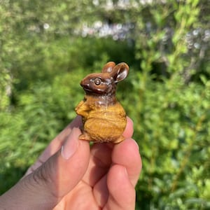Niedliche Flash-Tigeraugen-Kaninchenschnitzerei|Heilkristall|Kristall-Tigeraugen-Tierhasenskulptur|Energiestein|Kristallgeschenk für Sie und Kinder