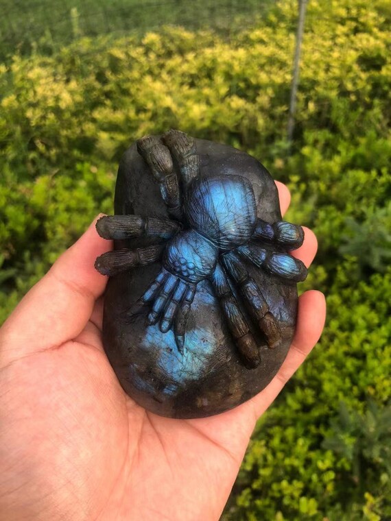 Spider Carved Labradorite Gemstone