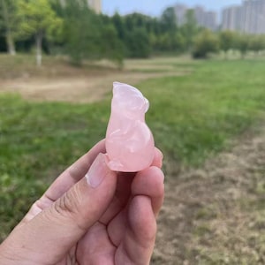 Pode incluir: Uma pequena figura de urso esculpida em quartzo rosa, de cor rosa, sentada sobre suas patas traseiras. O urso está segurando suas patas juntas na frente do peito.
