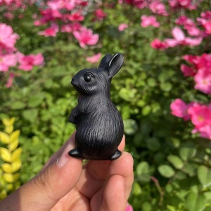 2.53 inches Black Obsidian Rabbit Carving|Healing Crystal Crystal Obsidian Animal Bunny Sculpture|Crystal Bunny Gift for Her and Kids #02