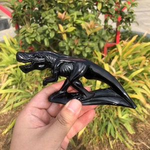 Black Obsidian Dinosaur Carving | Unique Gift for Kids and Women | Chakras Crystal and Crystal Healing Tyrannosaurus Rex Carving