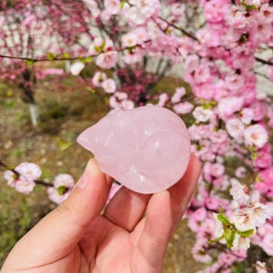 Natural Rose Quartz Cat Carving|Healing Crystal|Crystal Sleeping Cat Carving|Crystal Animal Sleeping Cat Sculpture|Gift for Women and Kids