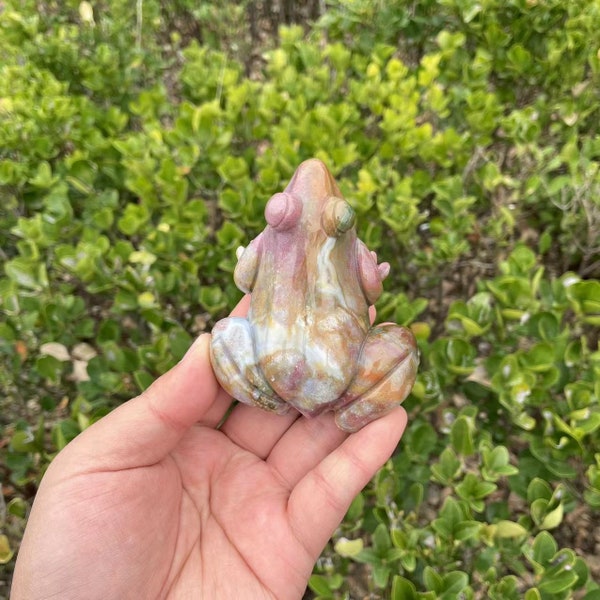 Natural Ocean Jasper Frog Carving | Healing Crystal | Stone Carving | Crystal Animal Frog Sculpture Handmade Crystal Gift for Women and Kids