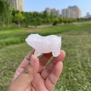 Cute Rose Quartz Pig Carving|Healing Crystal|Crystal Animal Pig Carving|Natural Crystal Animal Pig Sculpture|Crystal Gift for Women and Kids