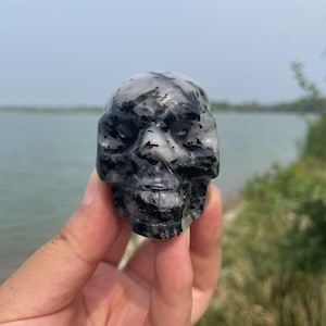 Cool Black Tourmaline Skull Carving|Crystal Skull Statue|Crystal Skull Decor|Quartz Skull|Reiki Healing Crystal Skull Gift for Women and Men