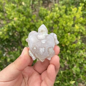 Cute Flower Agate Turtle Carving|Healing Crystal Animal|Stone Carving| Flower agate Animals Turtle Handmade Gift for Women and Kids #03