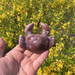 Adorable Natural Ocean Jasper Crab Carving Crystal Ocean Jasper Crab Sculpture Crystal Gift for Kids and Women|Crystal Healing Carving #03