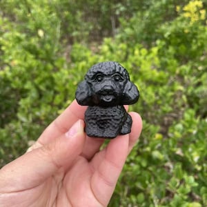 Lovely Black Obsidian Teddy Dog Carving|Natural Obsidian Animal Teddy Sculpture Healing Crystals Carving|Unique gift for Women and Kids