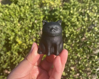 Black Obsidian Fat Cat Carving: Healing Crystal SculptureCrystal Decor