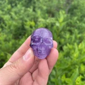 Cool Natural Amethyst Skull Carving|Crystal Skull Sculpture|Hand Carved Skull Gift for Her and Him|Spiritual Mineral Crystal Carvings #01