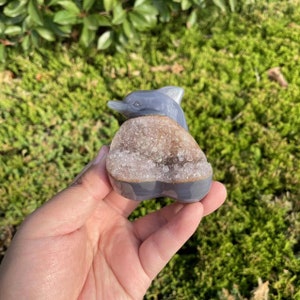 Lovely Agate Dolphin Carving with Druzy|Crystal Healing Carving|Crystal Animal Dolphin Carving|Energy Stone Unique Gift for Women and Kids