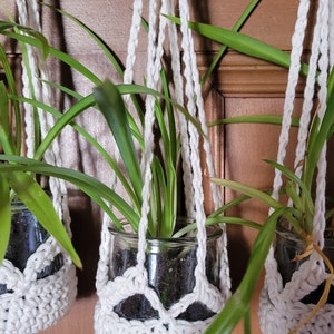 Puede incluir: Tres maceteros de macramé blancos con plantas araña verdes colgando de ellos. Los maceteros están sujetos a una pared de madera.