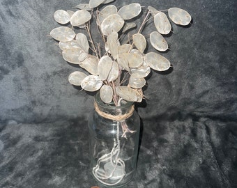 Dried Lunaria stems for weddings, flower arranging, floral displays, bouquets, buttonholes, art and craft projects.