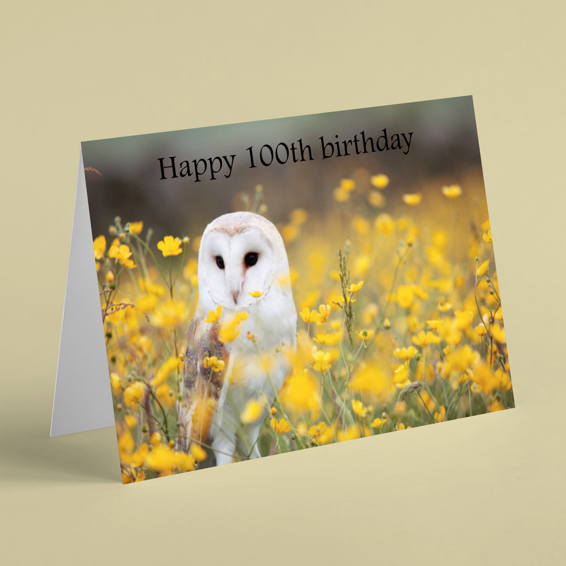 Barn owl with yellow meadow flowers 100th birthday card - Beebooh cards - can supply other ages, ple