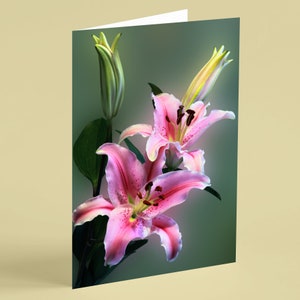 Rosa Lilien Geburtstagskarte - Beeboh Karten