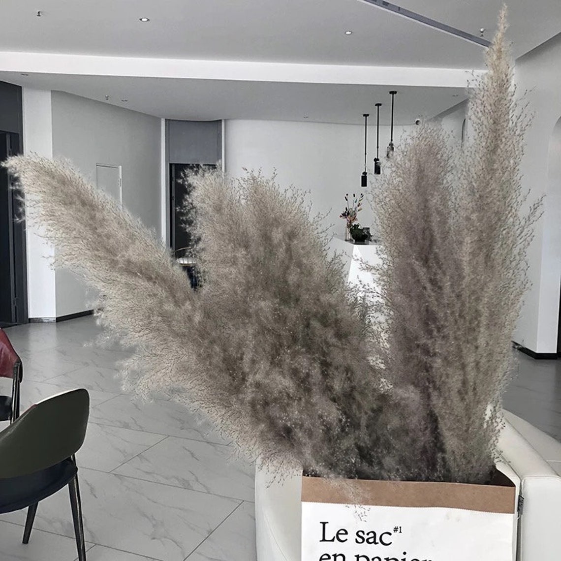 Set of 5 Large Pampas Grass 115cm Grey Natural Dried Pampas Etsy UK