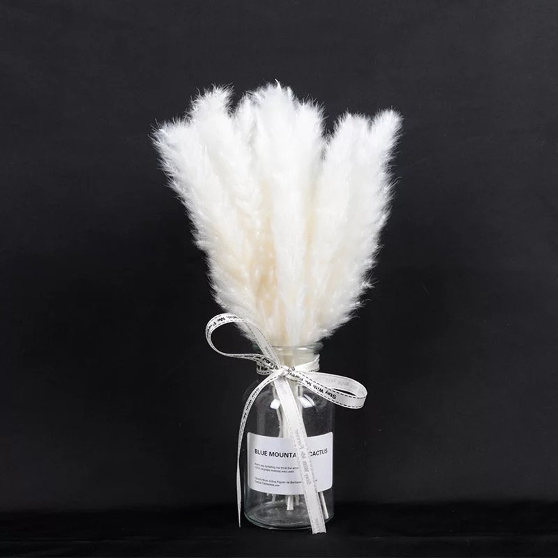 White/white Natural Pampas Grass and Vase Set Home Decor Boho Etsy
