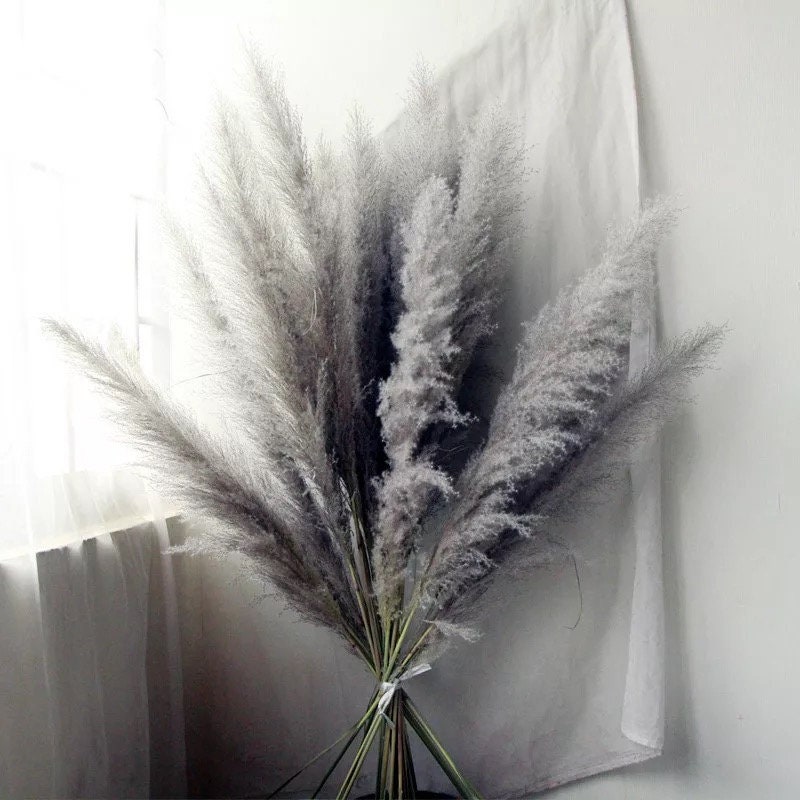 Set of 5 Large Grey Pampas grass115cm Grey natural dried Etsy