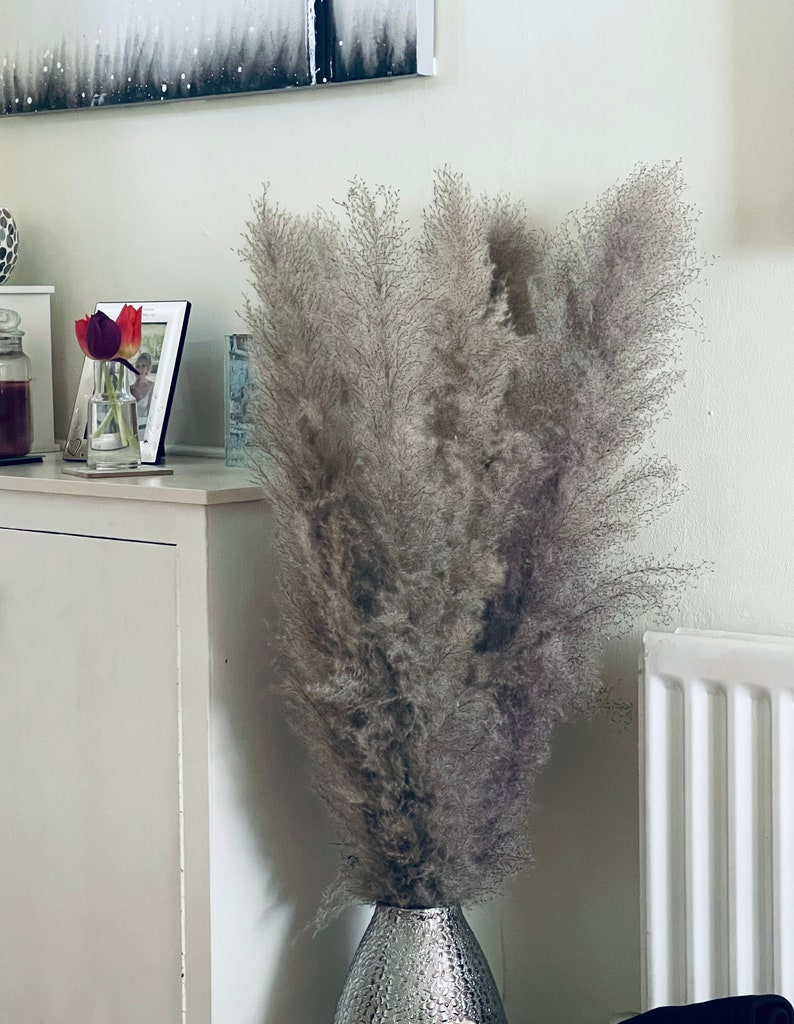 INCLUDING VASE Set of 5 Large Pampas Grass 115cm Grey Etsy