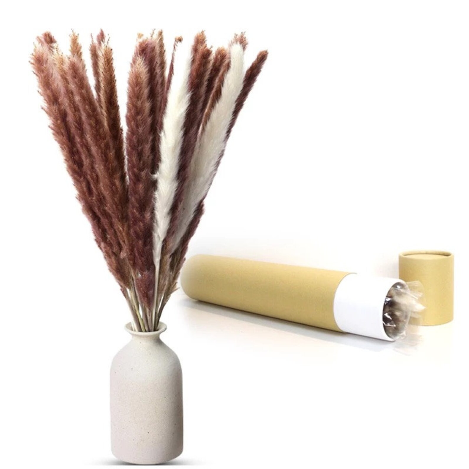 White/white Natural Pampas Grass and Vase Set Home Decor Boho Etsy