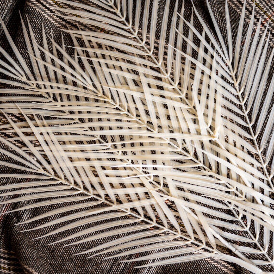Artificial White Palm Leaves 6 Leaves on Two Branches Boho Etsy