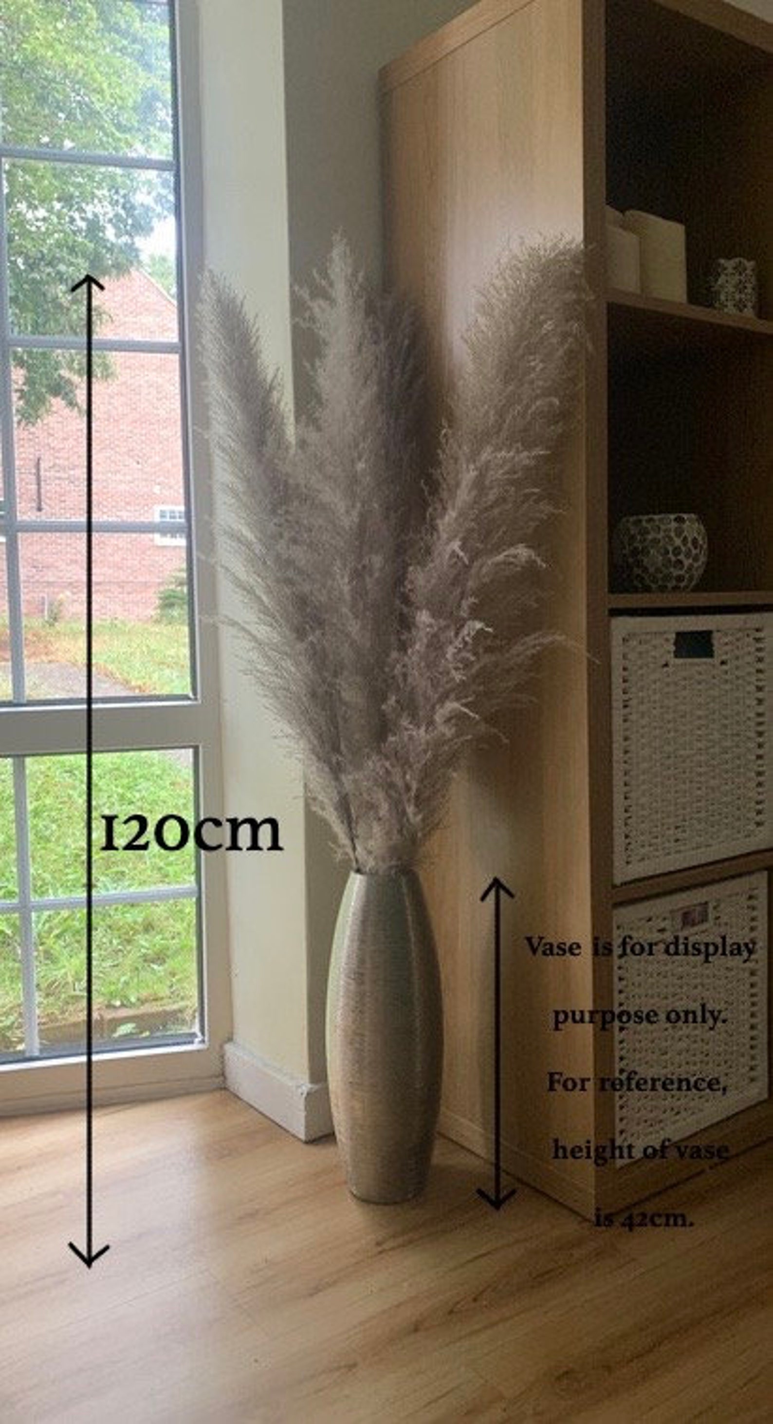 Set of 5 Large Grey Pampas grass115cm Grey natural dried Etsy