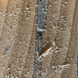 Op de afbeelding: Close-up van een houten oppervlak met een donkergrijze lijn die verticaal door het midden loopt. Het hout heeft een ruw, getextureerd oppervlak met een klein stukje hout dat aan de onderkant uitsteekt.