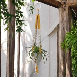 Puede incluir: Un macetero de macramé de color blanco y amarillo cuelga de una viga de madera. Una pequeña planta en maceta está en el macetero.