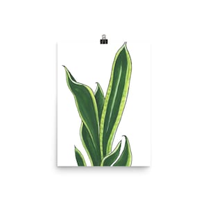 Sansevieria (Snake Plant) Watercolor Enhanced Matte Poster