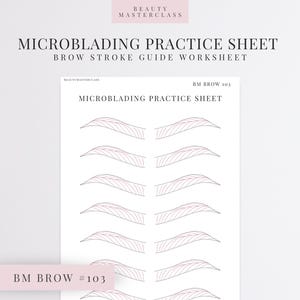 BMBrow n.° 103: Hoja de práctica de microblading/Hoja de trabajo editable para instructores de cejas de SPMU, imprimible, descarga instantánea