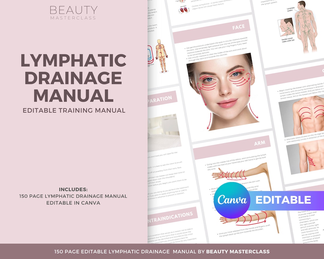 Lymphatic Drainage Training Manual Editable MLD Lymphatic Etsy