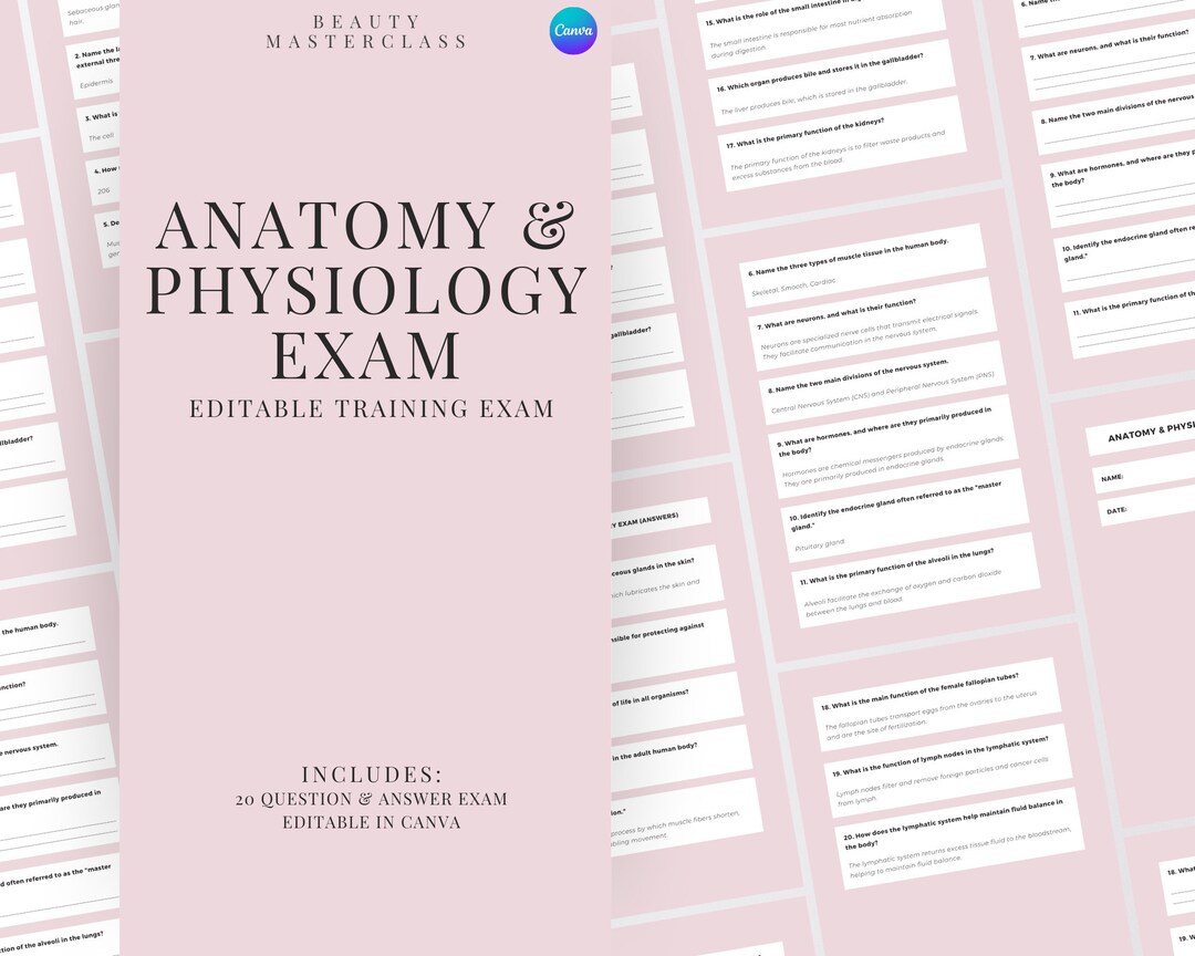Anatomy & Physiology Exam for Certification 20 Questions and Answers ...