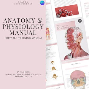 Anatomy and Physiology Level 3 Training Manual - Editable A&P Course for Beauty Training, Beauty Academies