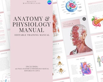 Anatomy and Physiology Level 3 Training Manual - Editable A&P Course for Beauty Training, Beauty Academies