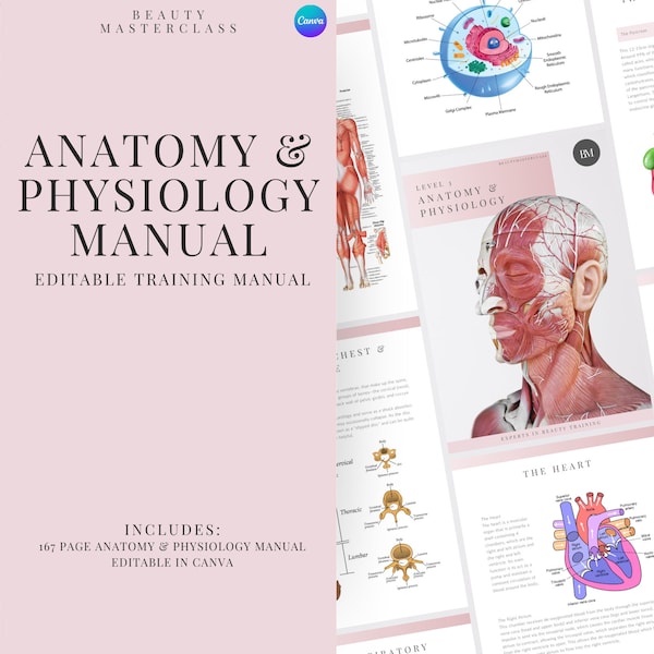 Anatomy and Physiology Level 3 Training Manual - Editable A&P Course for Beauty Training, Beauty Academies