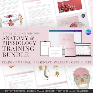 Trainingspakket Anatomie en Fysiologie Niveau 3 - Presentatie, trainingshandleiding, theorie-examen en certificaat voor trainers van schoonheidsacademies