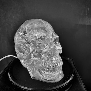 Skull LED Lights, Gothic Sculpture, Skull Art, Skull Lamp, Skull Decoration, Gothic Skull Art, Gothic Birthday Gift, Light Up Skull Gift