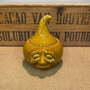 Vintage Picked Onion Face Pot