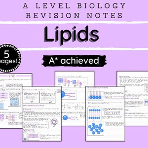 May include: A level biology revision notes on lipids, with a purple background and a white circle with the text "5 pages!" in the top left corner. The text "Lipids" is in a large, bold font. The text "A* achieved" is in a smaller font below the word "Lipids". The notes are divided into sections, with headings such as "Basic Structures", "Triglycerides", "Phospholipids", and "Functions". The notes include diagrams and text explaining the structure and function of lipids.